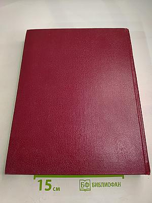 Большая Советская Энциклопедия. Том 10: Ива — Италики