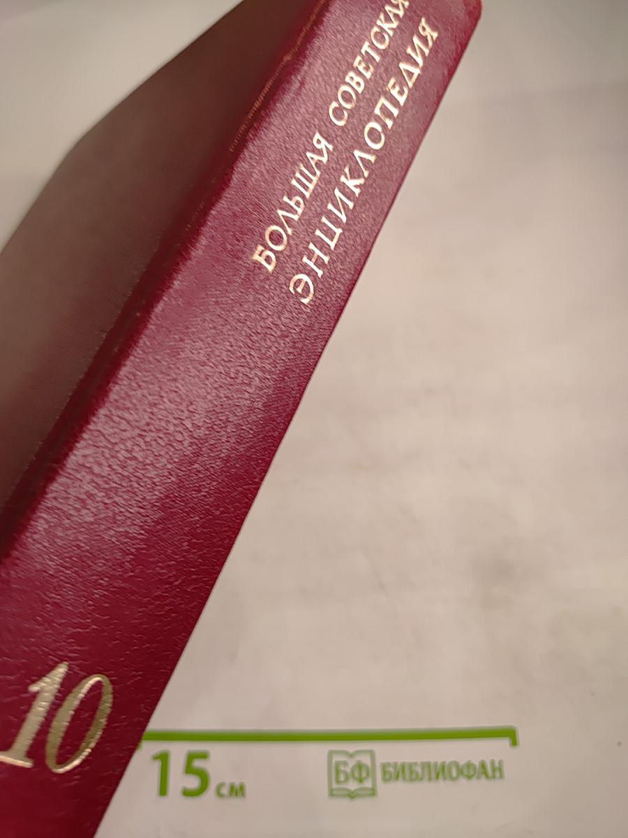 Большая Советская Энциклопедия. Том 10: Ива — Италики