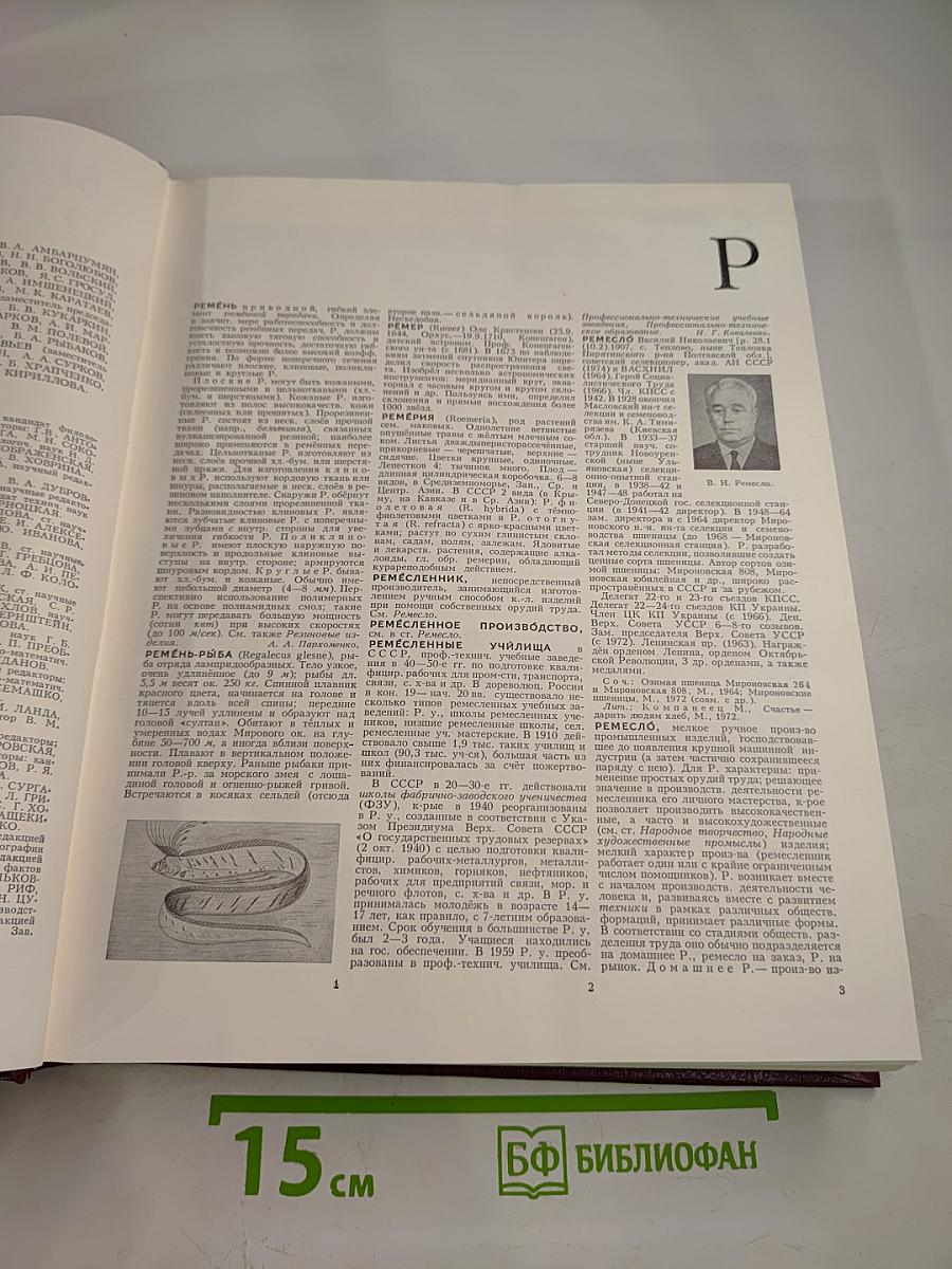 Большая Советская Энциклопедия. Том 22. Ремень – Сафи