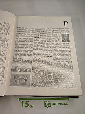 Большая Советская Энциклопедия. Том 22. Ремень – Сафи