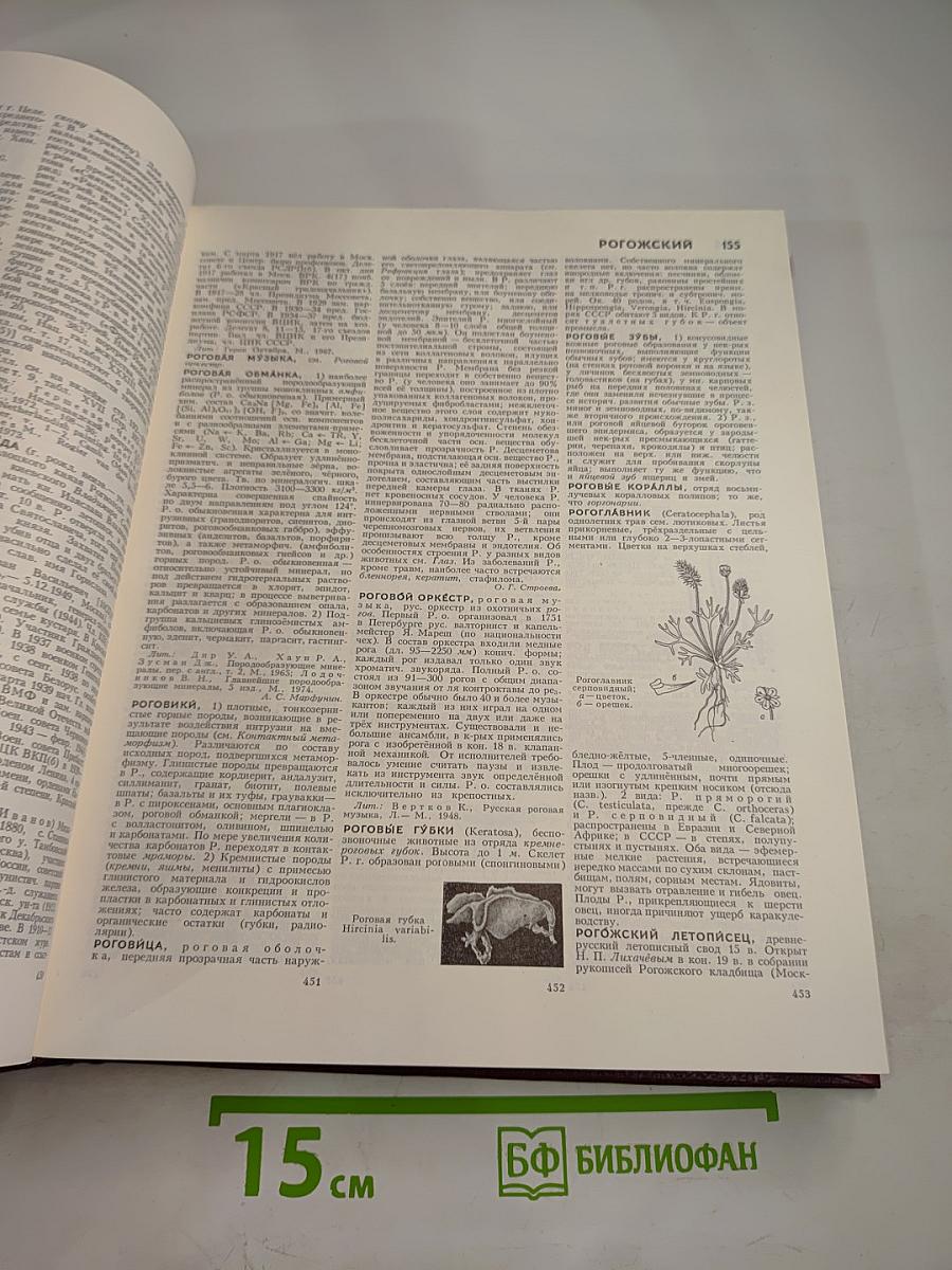 Большая Советская Энциклопедия. Том 22. Ремень – Сафи
