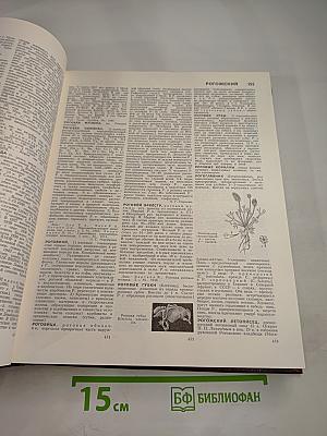 Большая Советская Энциклопедия. Том 22. Ремень – Сафи