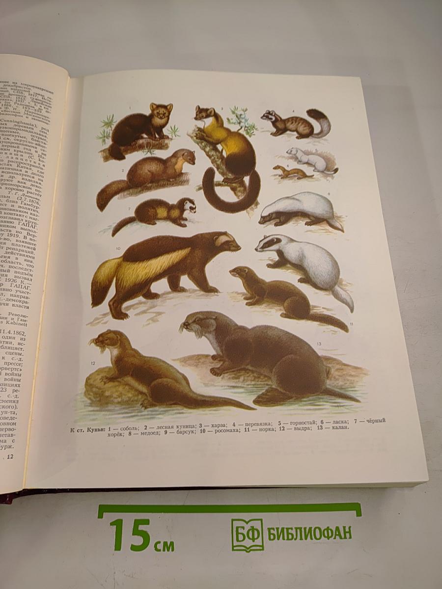 Большая Советская Энциклопедия. Том 14. Куна - Ломами