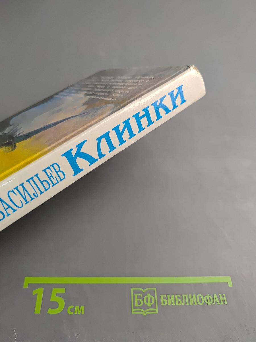 Клинки. Летопись-легенда