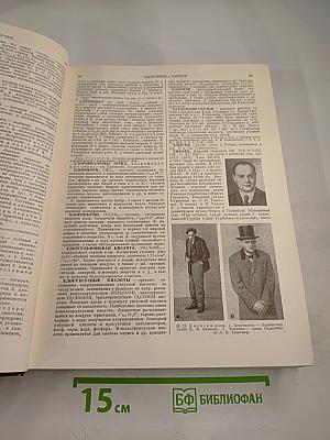 Малая Советская Энциклопедия. Том 10: Хайхэ—Яя