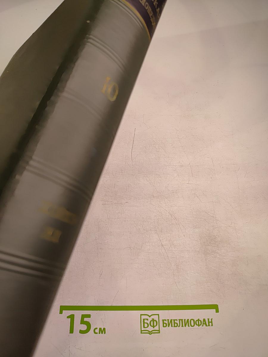 Малая Советская Энциклопедия. Том 10: Хайхэ—Яя