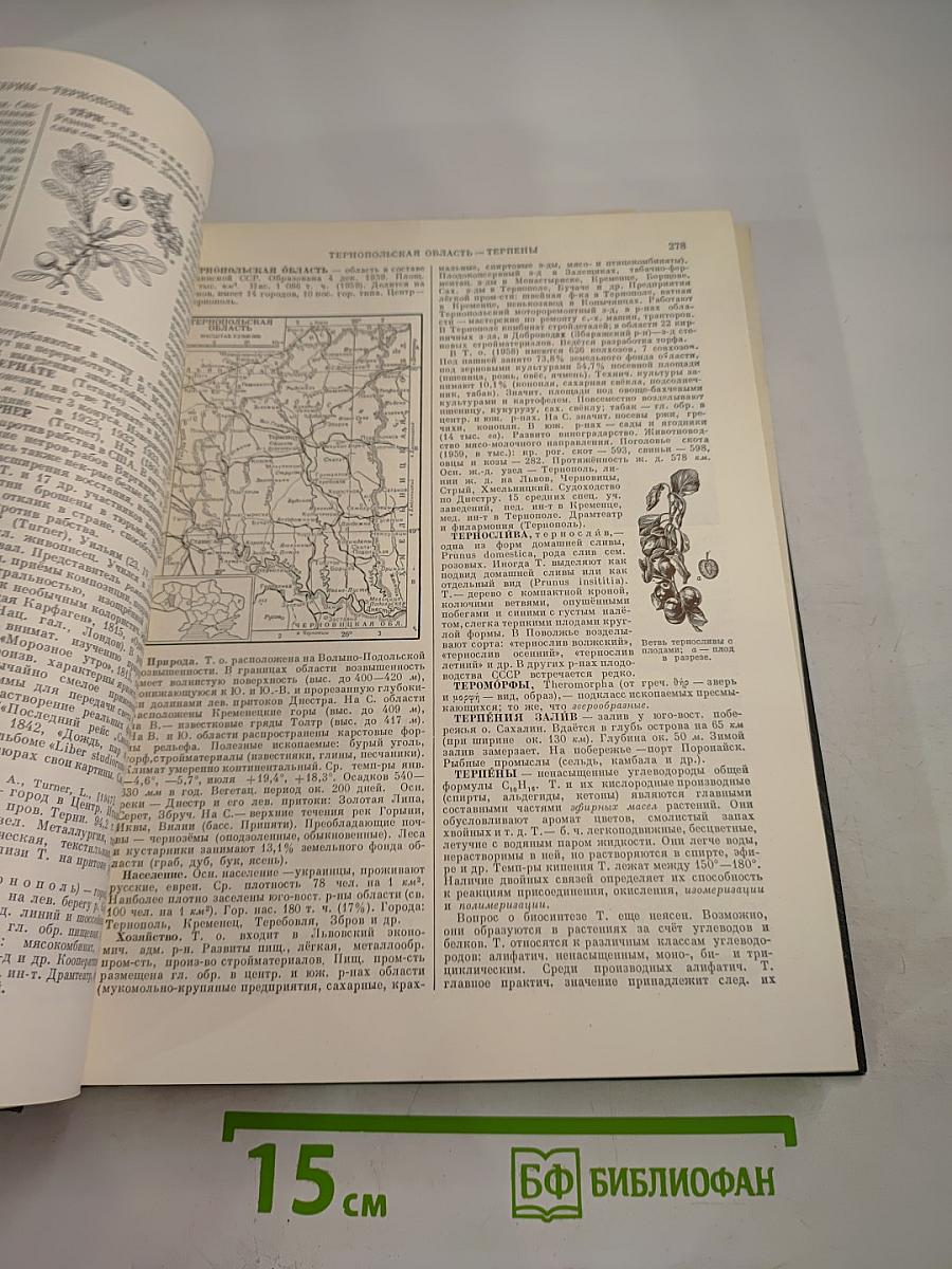 Малая Советская Энциклопедия. Том 9: Сферосомы – Хайфон