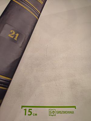 Большая Советская Энциклопедия. Том 21