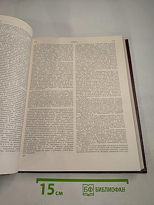 Советская историческая энциклопедия. Том 10