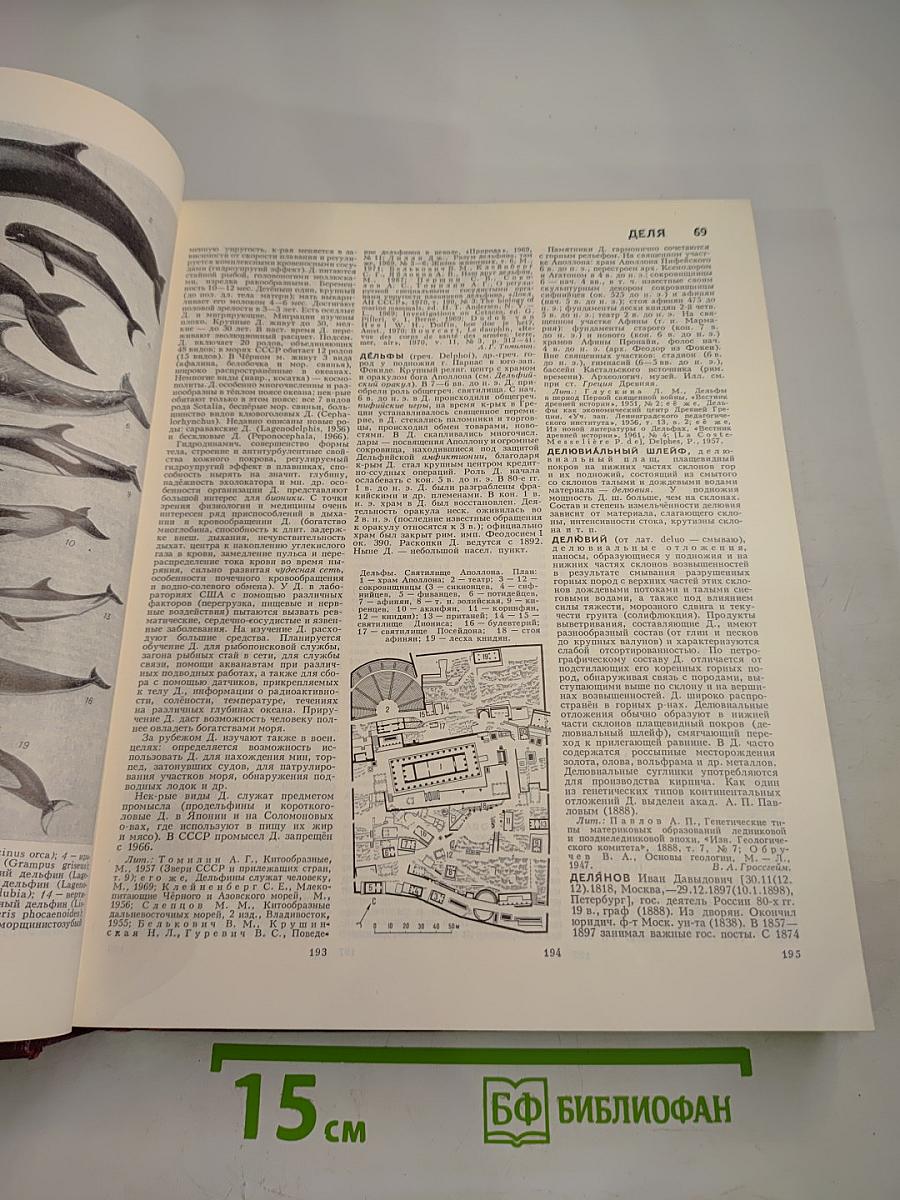 Большая Советская Энциклопедия. Том 8: Дебитор – Эвкалипт