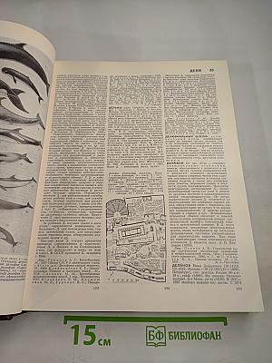 Большая Советская Энциклопедия. Том 8: Дебитор – Эвкалипт