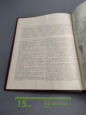 Большая Советская Энциклопедия. Том 23. Сафлор-Соан