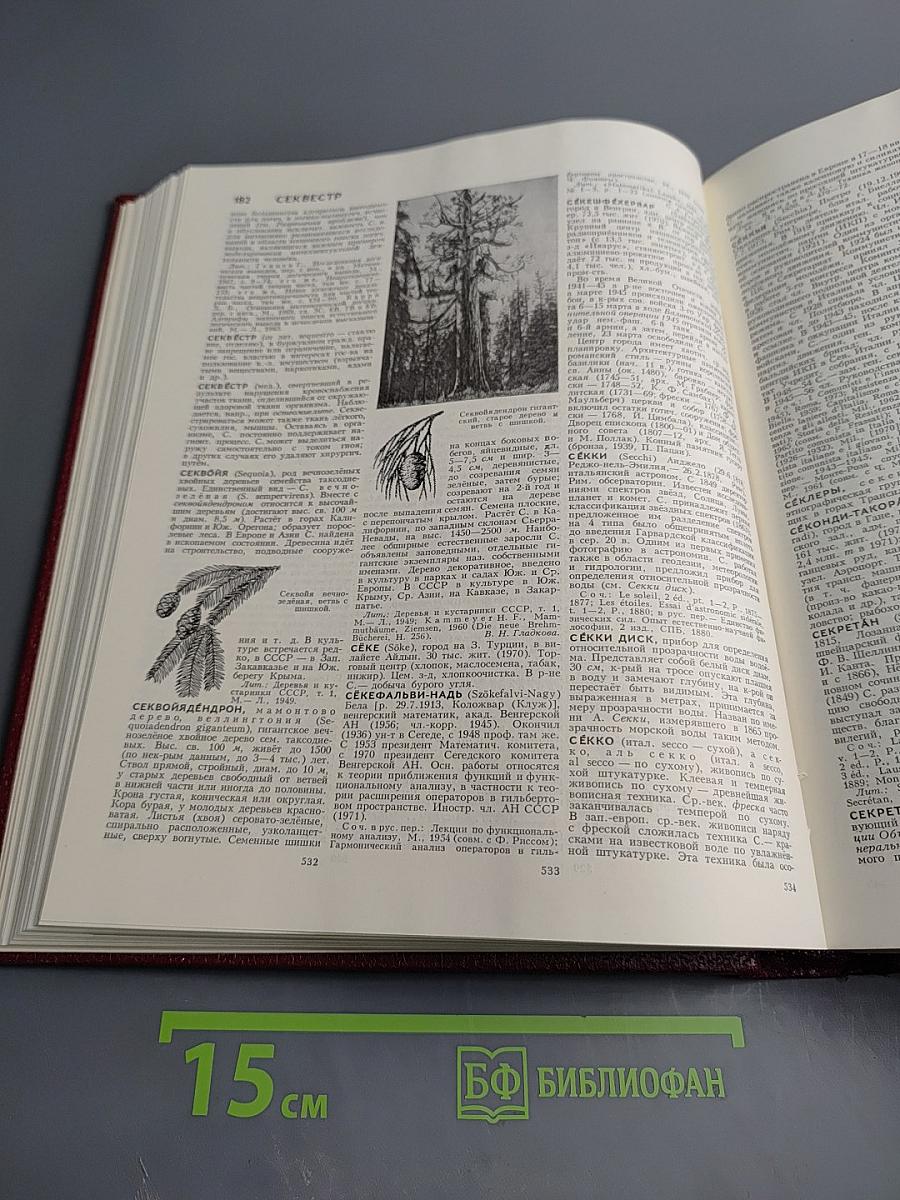 Большая Советская Энциклопедия. Том 23. Сафлор-Соан