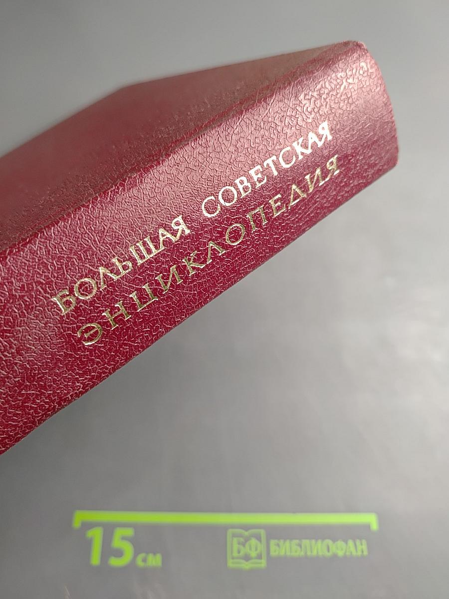 Большая Советская Энциклопедия. Том 23. Сафлор-Соан