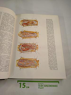 Большая медицинская энциклопедия. Том 21. Преднизон – Растворимость