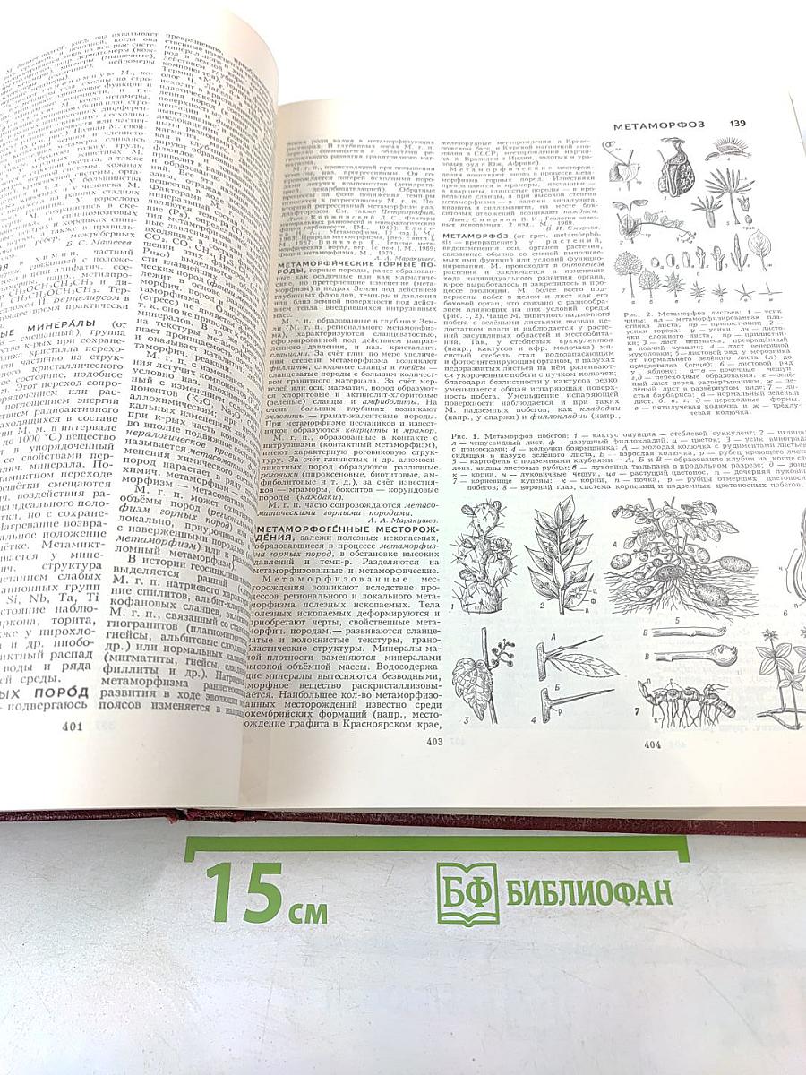 Большая Советская Энциклопедия. Том 16. Мезия - Моршанск