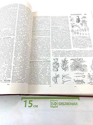 Большая Советская Энциклопедия. Том 16. Мезия - Моршанск