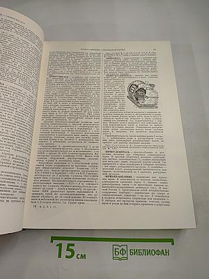 Большая Советская Энциклопедия, том 17: Земля - Индейцы