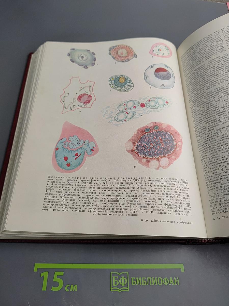 Большая Советская Энциклопедия. Том 30. ЭКСЛИБРИС - ЯЯ