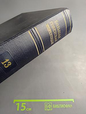 Большая Советская Энциклопедия. Том 13: Гроза - Демос