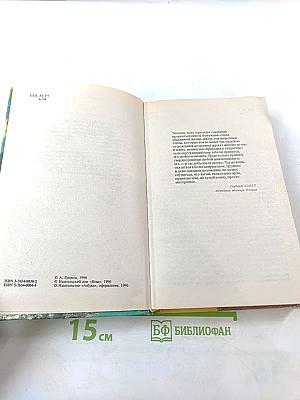 Рыцарь из ниоткуда