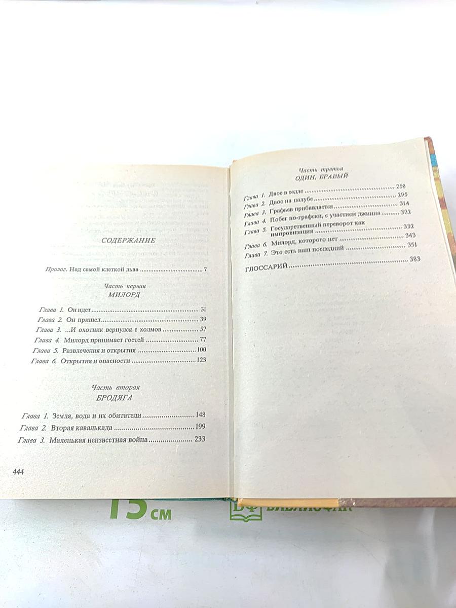 Рыцарь из ниоткуда