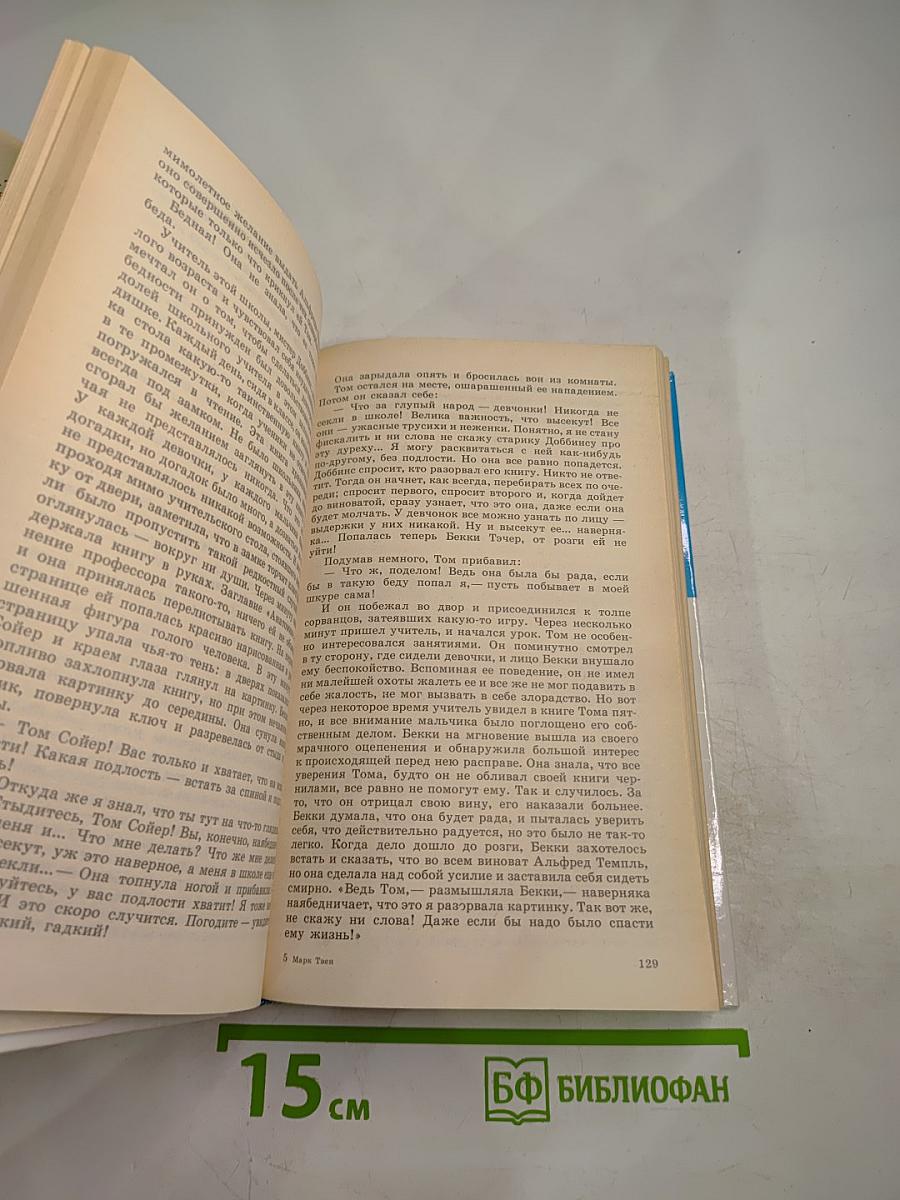 Приключения Тома Сойера и Гекльберри Финна