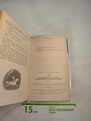 Приключения Тома Сойера и Гекльберри Финна