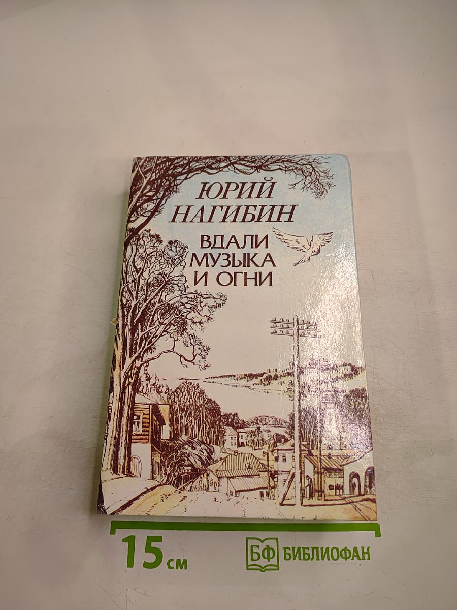 Вдали музыка и огни