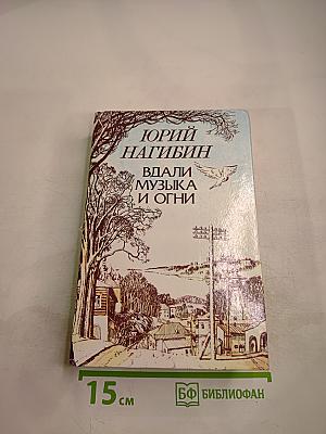 Вдали музыка и огни