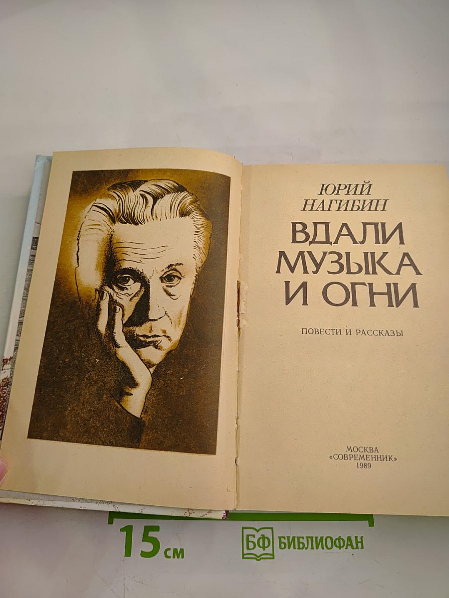 Вдали музыка и огни