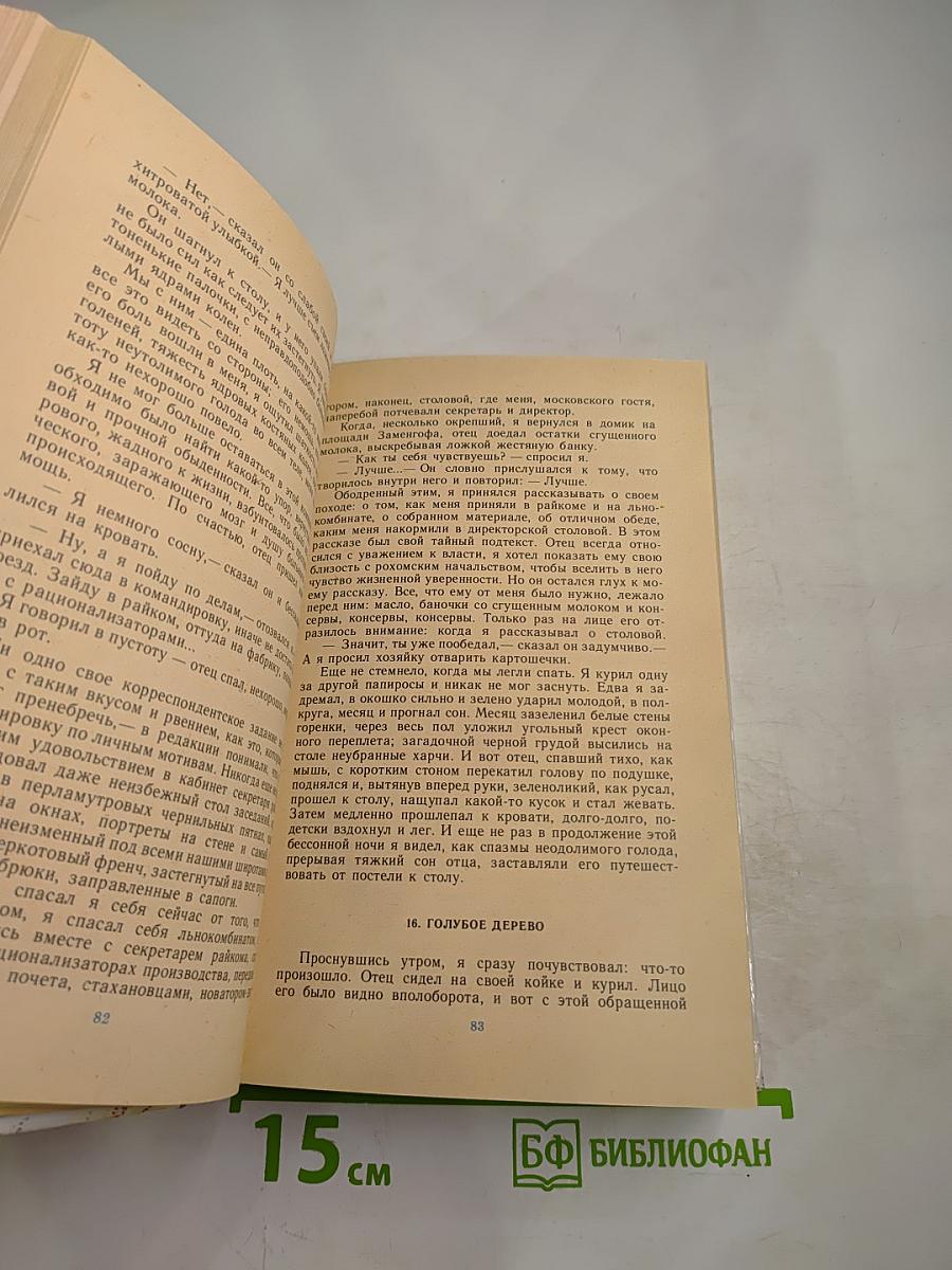 Вдали музыка и огни