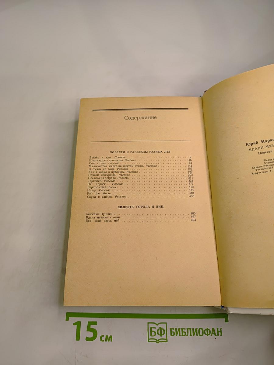 Вдали музыка и огни