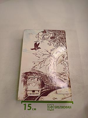 Вдали музыка и огни