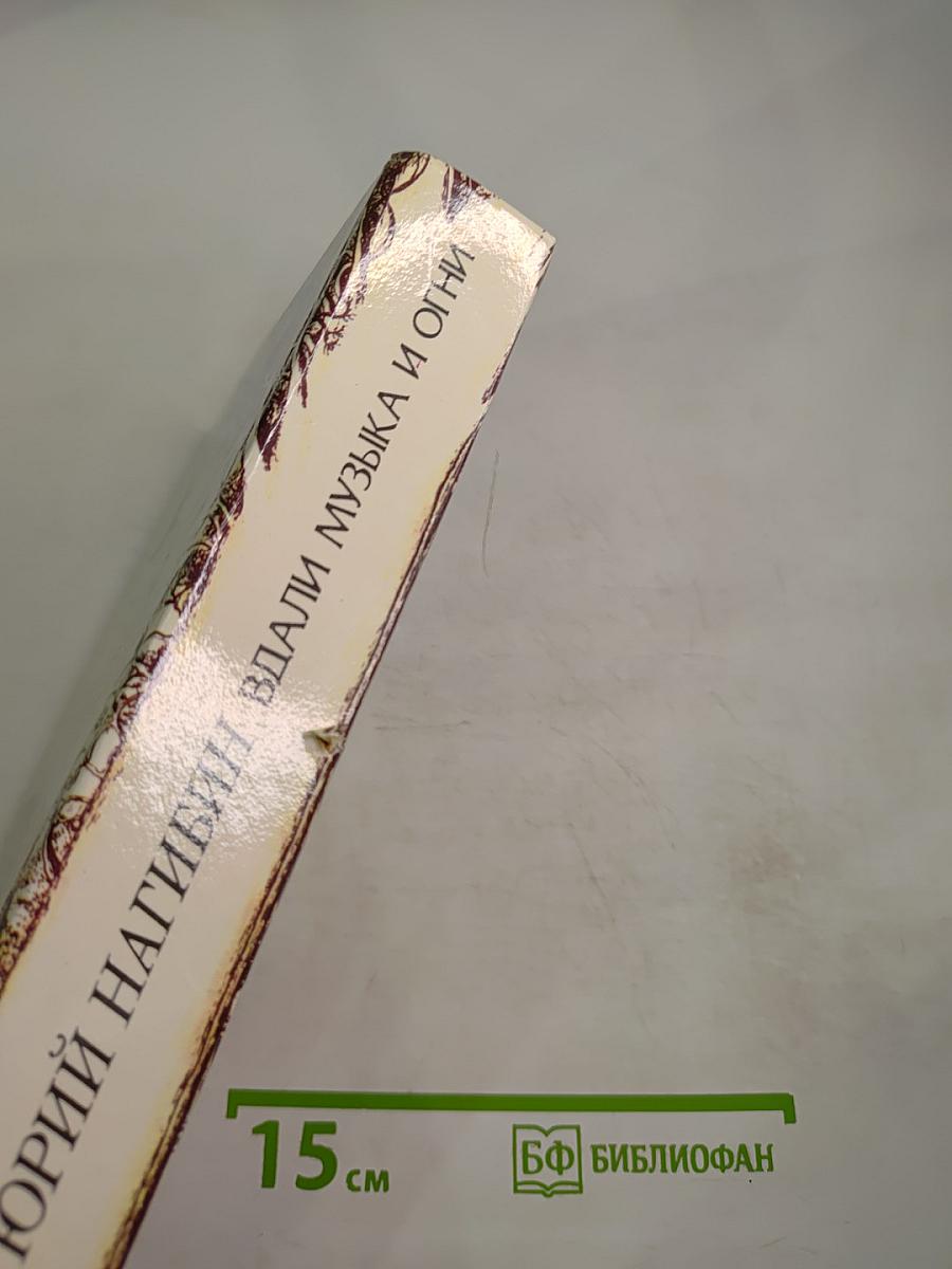 Вдали музыка и огни