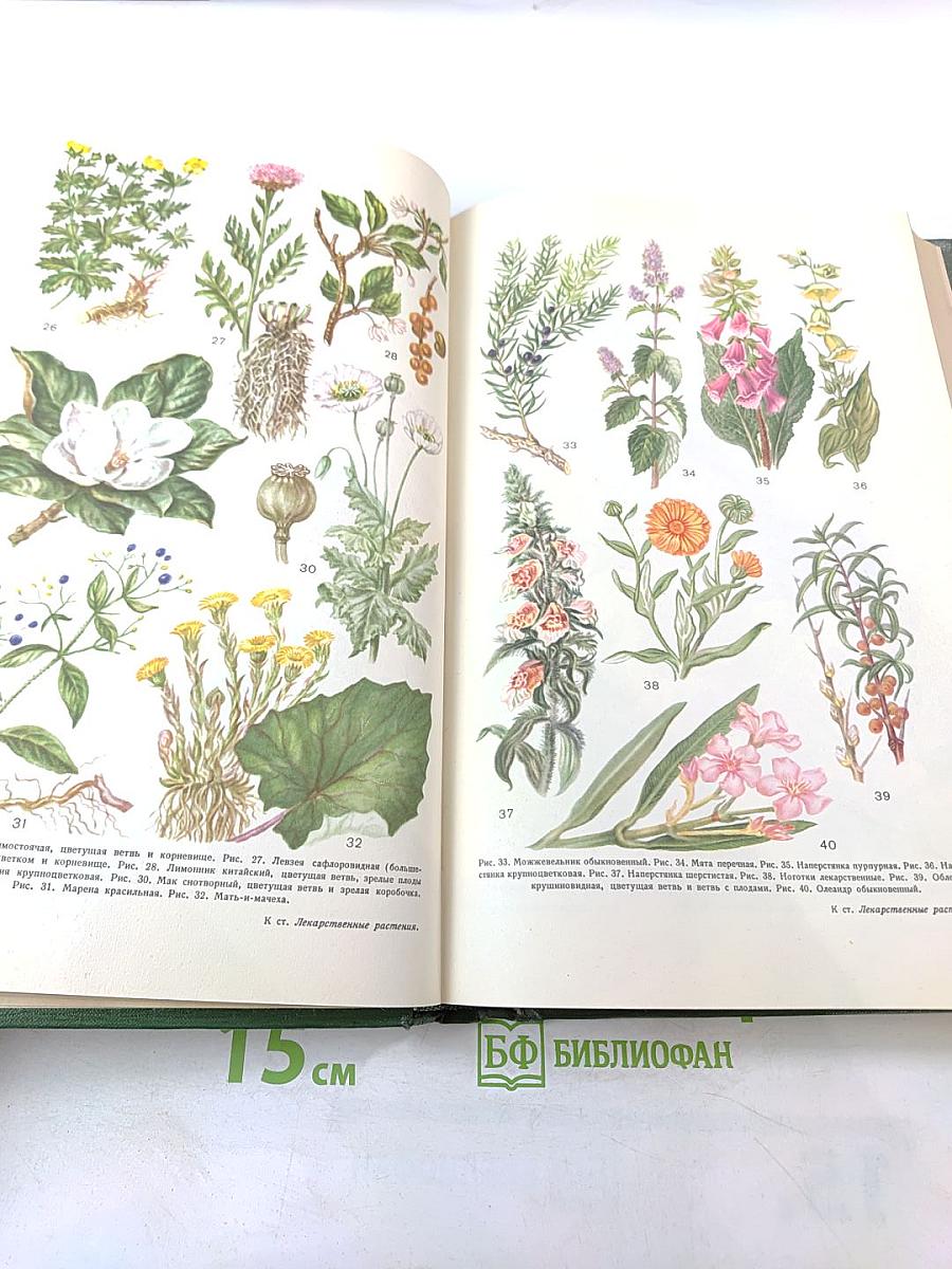 Малая медицинская энциклопедия. Том 5. Ларусан - Молоко