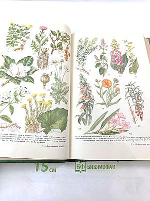 Малая медицинская энциклопедия. Том 5. Ларусан - Молоко