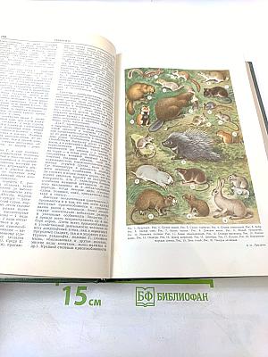 Малая медицинская энциклопедия. Том 3: Гонит - Интубатор