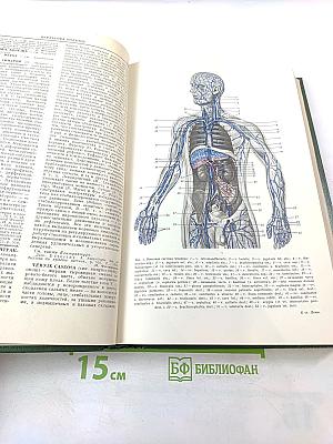 Малая медицинская энциклопедия. Том 2. Бронхоаденит - Гониотомия