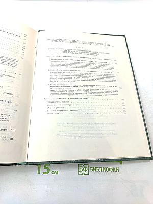 Всемирная история XI