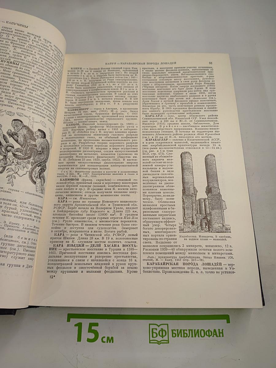 Большая Советская Энциклопедия. Том 20. Кандидат-Кинескоп
