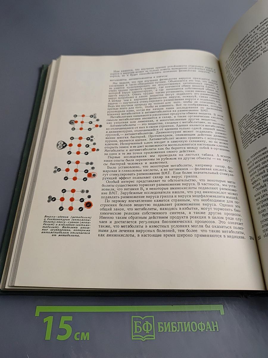 Наука и человечество. 1962