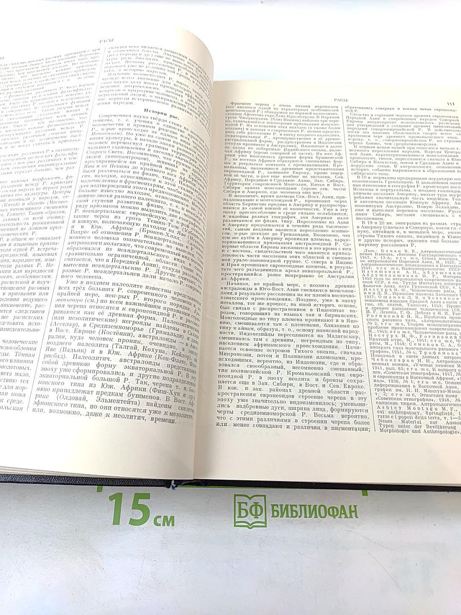 Большая Советская Энциклопедия. Том 36: Раковник — Роман