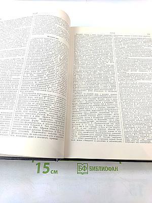 Большая Советская Энциклопедия. Том 36: Раковник — Роман