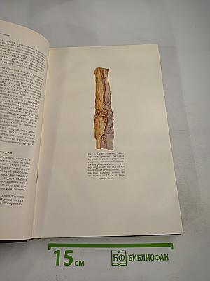 Опыт советской медицины в Великой Отечественной войне 1941-1945 гг. Том 19