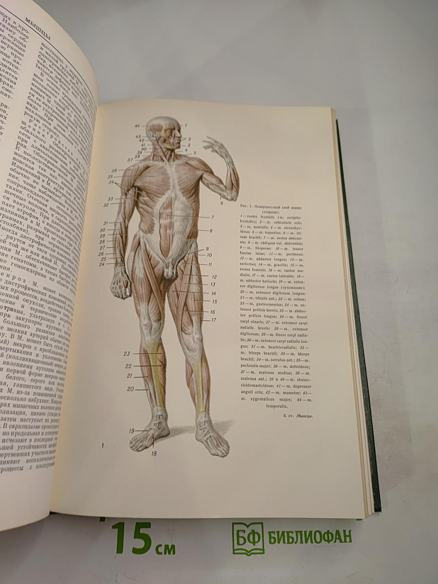 Малая медицинская энциклопедия. Том 6