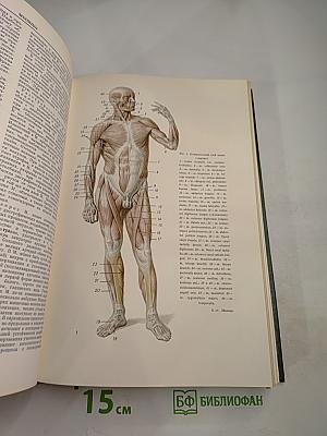 Малая медицинская энциклопедия. Том 6