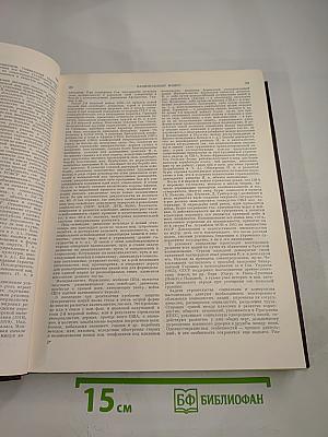 Советская историческая энциклопедия. Том 10: Нахимсон – Пергам