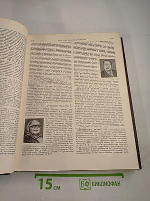 Советская историческая энциклопедия. Том 10: Нахимсон – Пергам