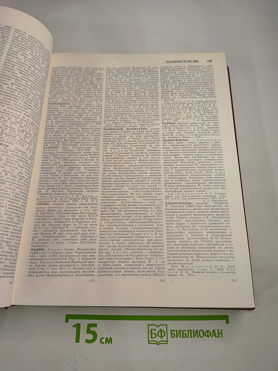 Большая советская энциклопедия, Том 19: Отоми - Пластырь